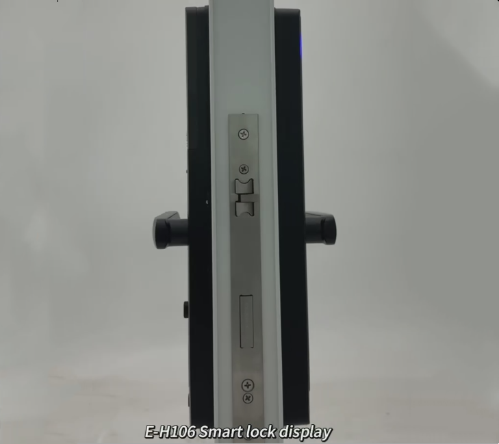 ELA High quality waterproof intelligent lock outdoor aluminum double-sided fingerprint door lock E-H106