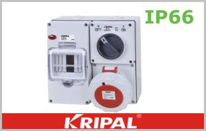 Quality Customized Weatherproof Industrial Outlets Reefer Container Socket 500V wholesale