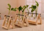 glass vase terrarium for planting deco