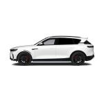 2025 VOYAH FREE 318 China New Energy Vehicle SUV Range 318KM Rear-Wheel Drive