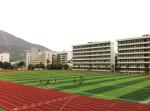 Gardens / Football Artificial Turf Fake Grass Mats Anti-aging Environment