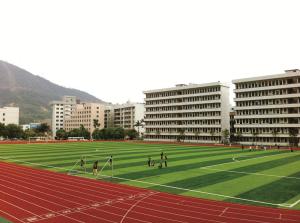 Quality Gardens / Football Artificial Turf Fake Grass Mats Anti-aging Environment Friendly wholesale
