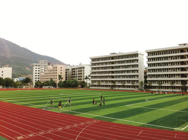 Gardens / Football Artificial Turf Fake Grass Mats Anti-aging Environment