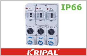 Quality Dustproof 16A Industrial Socket Outlet with RCD Electrical Protection wholesale
