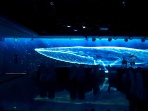 Quality Invisible 3D Hologram Projection Screen Transparent For Live Show wholesale