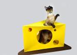 Foldable Insulated Cat House