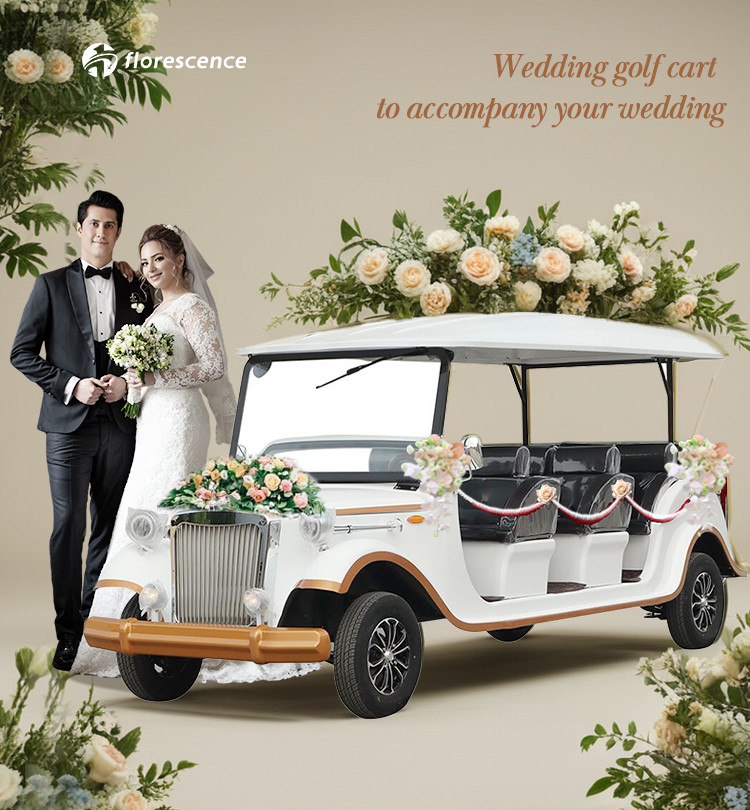White Wedding Classic Car 4kw Motor 100km Endurance CE Certification