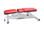 Gym Club Life Fitness Multi Adjustable Bench Body Fit Equipment