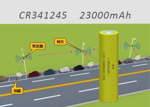 DD 23000mAh Primary Battery For TPMS Tire Pressure Monitoring System NB - IoT