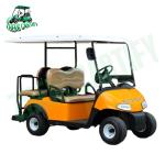 Chameleon Golf Cart - High Chassis 4 Seats
