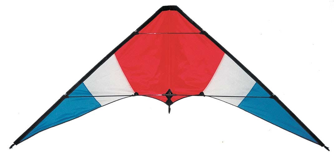 Dual line Delta stunt kite good sharp sports kites for Spring season