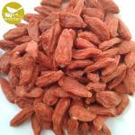 Amorberry China NingXia dried Goji berry for tea or medicine use