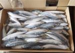 Pacific Mackerel 60g-80g Whole Round Health Fresh Frozen Seafood