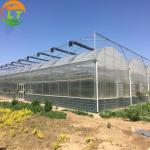 95% Transmittance Agricultural Plastic Film Greenhouse With Film Cover Material