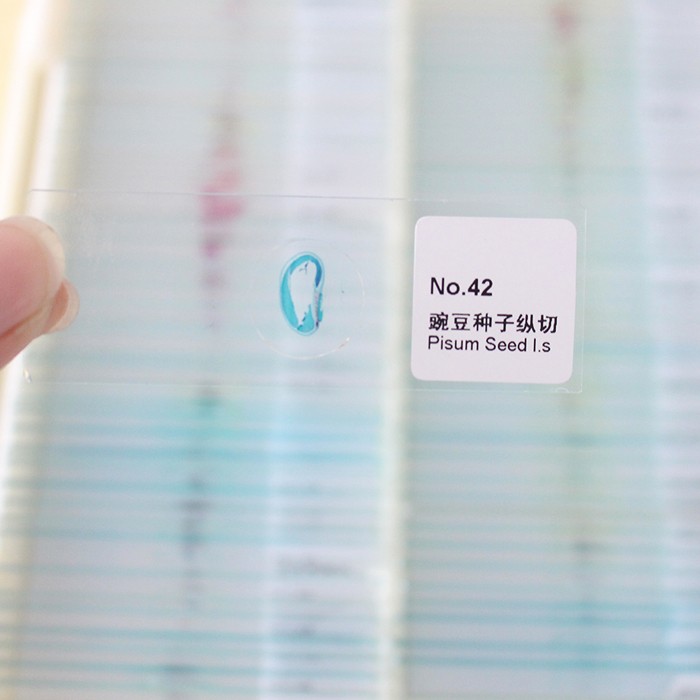 Prepared Medical Lab Research 15pcs Tissue Microscope Slides