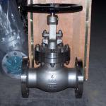 150LB CF8M Stainless steel flange end globe valve