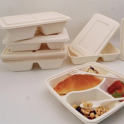 100% Biodegradable Disposable Dinnerware Compostable Sugarcane Food Container