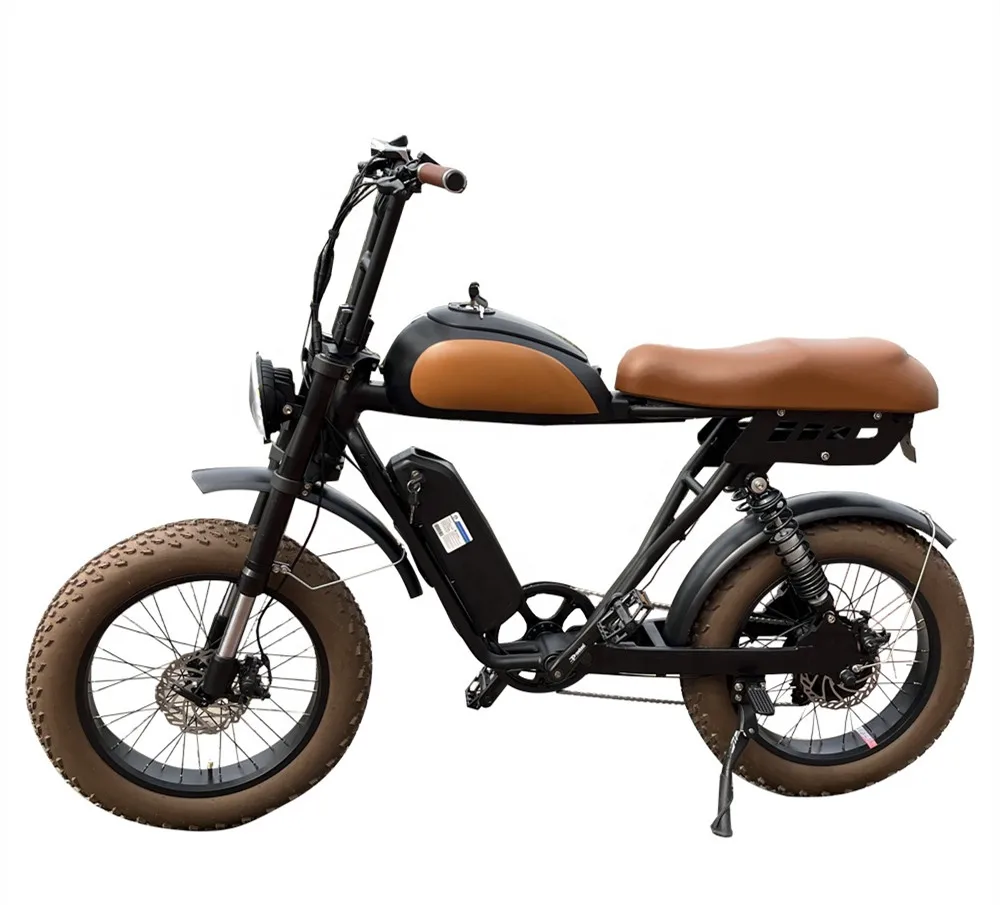 Rear Hub Motor 48V Electric Fat Tire Bike 20x4 Full Suspension Ebike For Adults