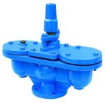 Q10 Original Cast Iron Plastic Spraying SS304 Air Vent Valve