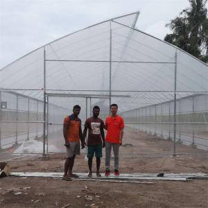 Quality Tropical Top Cross Vent Agricultural Sawtooth Greenhouse Plastic Film Covered wholesale