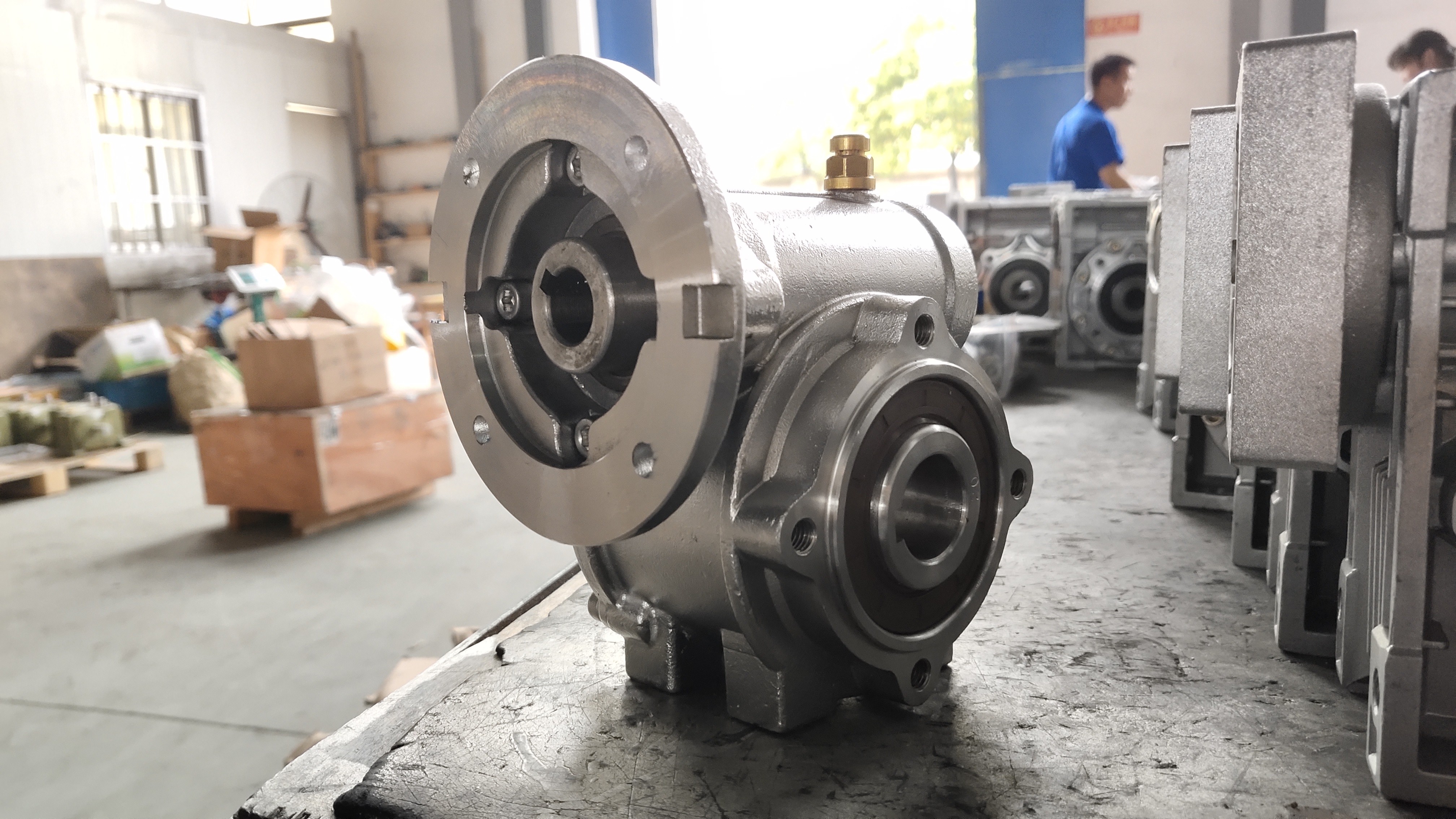SS VF50 20CrMn Stainless Steel Worm Gear Reducers