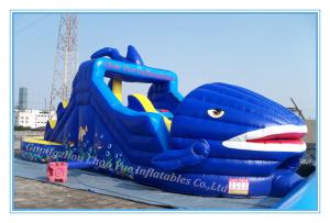 Quality Inflatable Jumping Castle&amp; Bouncy Castle for Amusement Park (CY-M2076) wholesale