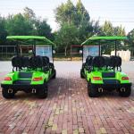 6 Person 60v Golf Cart Road Legal Golf Buggy 1000kg Max Load