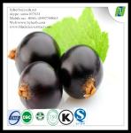 Food Grade Organic Black Currant Powder