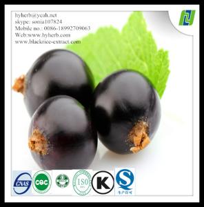 Quality Food Grade Organic Black Currant Powder wholesale