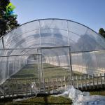 Polycarbonate Poly Tunnel Greenhouse Edible Mushroom Industrial Hemp Greenhouse