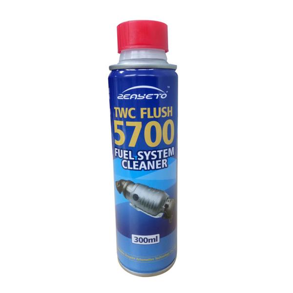 Car Catalytic Converter Cleaner Fuel System Cleaning Agent Carbon Removal