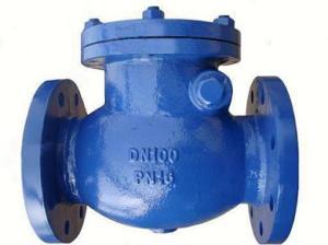 Quality DIN check valve flanged ends wholesale