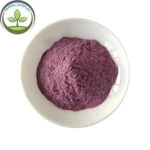 Quality Instant Powder Drink Blackberry Extract Powder With Best Price wholesale