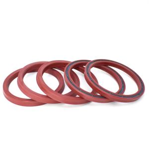 Quality 85 x 100 x 10MM Red hydraulic rod seals 90 shore double lip oil seals by size wholesale