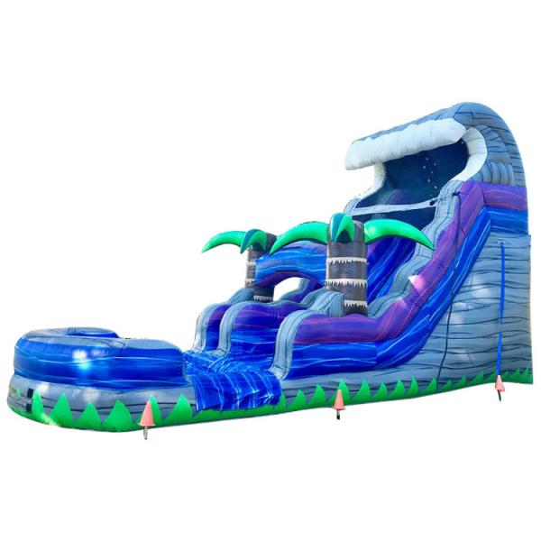 Inflatable Water Slide Kids Bouncer Jumping Castle The Double Lane Dry Ball