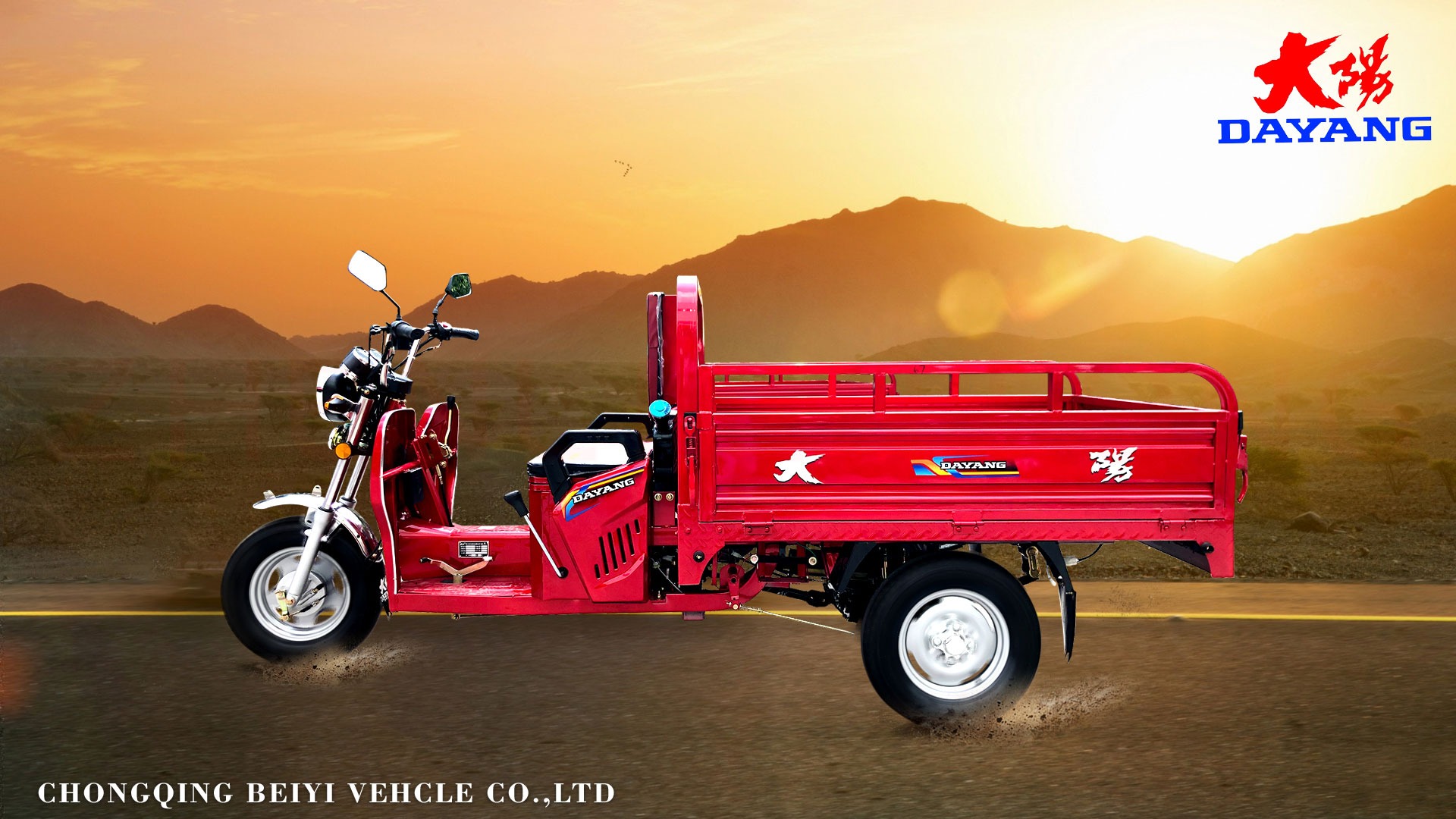 DAYANG Tricycle Motorcycle Cargo with 110cc Air Cooled Engine 3 Wheels and 4.0-12 Tires