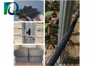 Quality 1.5mm- 2.0mm Thick Metal Vineyard Trellis Posts Environmentally Friendly wholesale