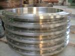 600 Lbs Ss304l Stainless Steel Slip On Flange Forged