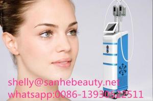 Quality Hot ! fat removal Cryolipo fat freezing machine wholesale