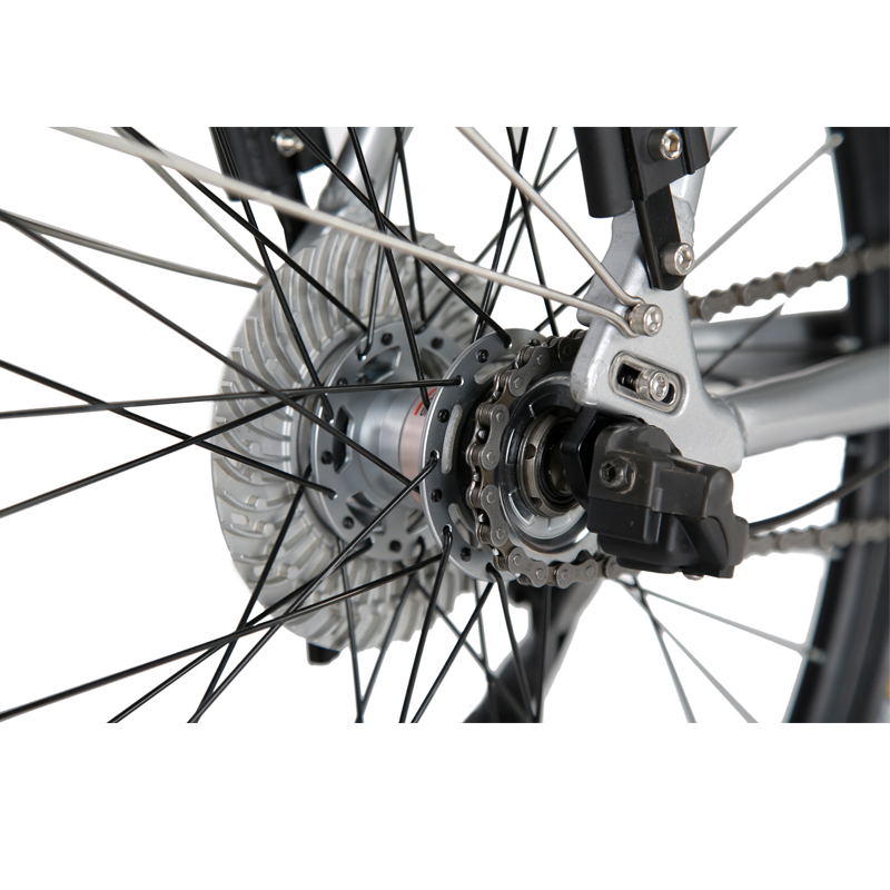 DOMANCA 750w Lady Electric Bike Sensor Smart Type and 18 Speed Gears for City Riding