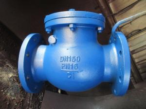 Quality 803-F DIN check valve flanged ends wholesale