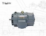 CE IEC Z2 Series Small High Voltage DC Motor 115v 220v z2 small dc motors