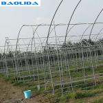 Galvanized Steel Frame Single Span PE Film Greenhouse For Flower Plant