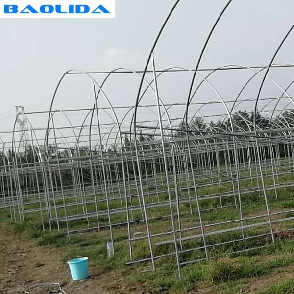 Galvanized Steel Frame Single Span PE Film Greenhouse For Flower Plant