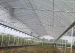 Irrigated Clear Cooling Poly Plastic Film Greenhouse