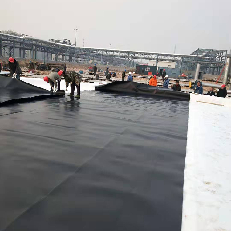 Made in Black Smooth HDPE Geomembrane Liner for Aquaculture in Industrial Design Style