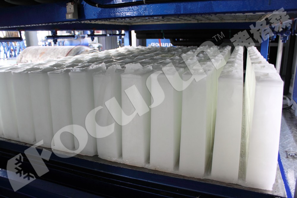 Fully Automatic 10T Block Ice Machine for Fresh Food Fishery Medical and Garden Stuff