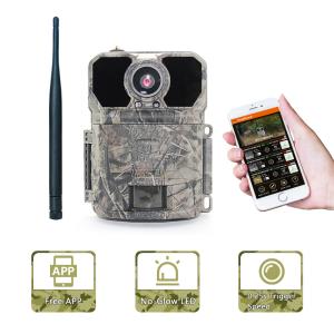 Quality Infrared Remote Control Hunting Cameras Outdoor Waterproof Tracking Camera wholesale