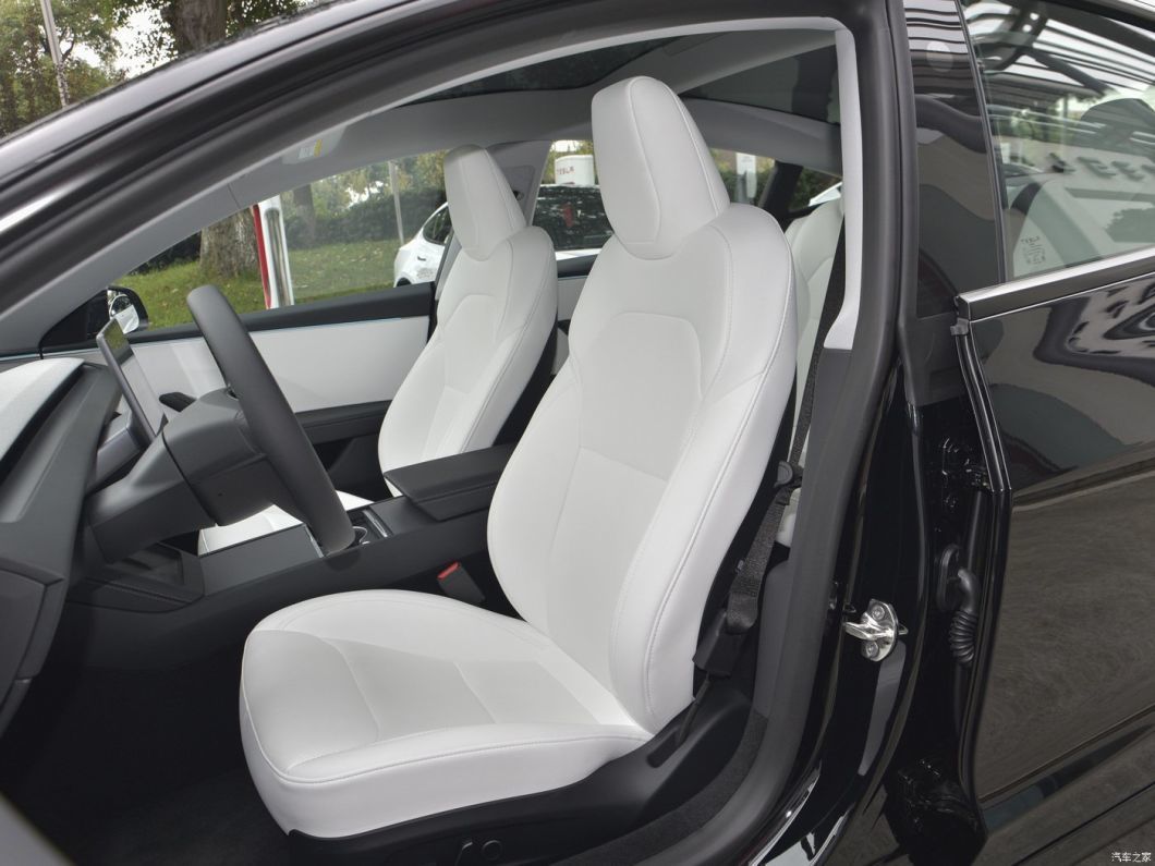 Tesla Model 3 Electric Sedan Car New Energy Vehicle EV Sport Car used