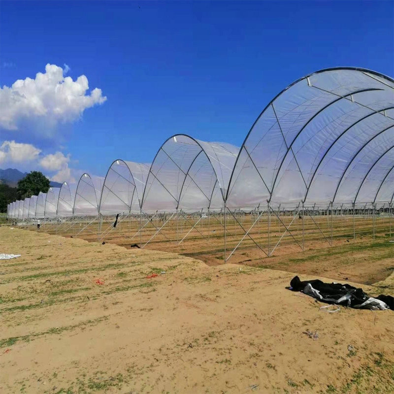 Good Quality Poly Tunnel Low Cost Hot Sale Polytunnel Berry Greenhouse